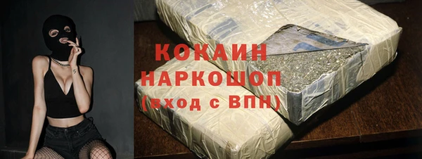 spice Бородино