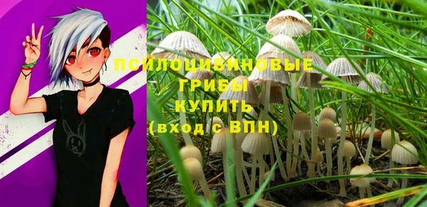 стаф Бугульма