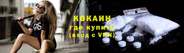 прущие грибы Бронницы