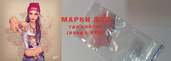 прущие грибы Бронницы