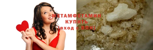 прущие грибы Бронницы