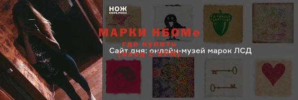 spice Бородино
