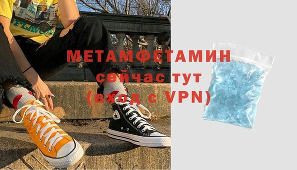 прущие грибы Бронницы
