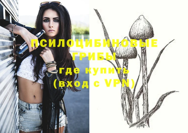 стаф Бугульма