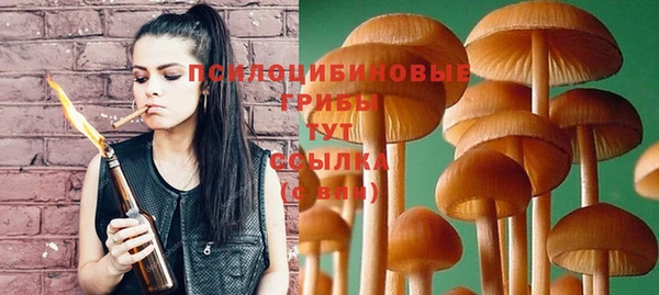стаф Бугульма
