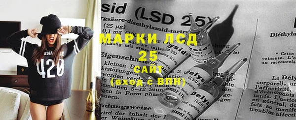 spice Бородино