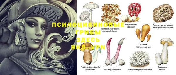 spice Бородино
