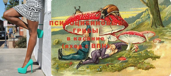 прущие грибы Бронницы