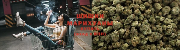 spice Бородино