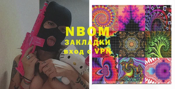 прущие грибы Бронницы